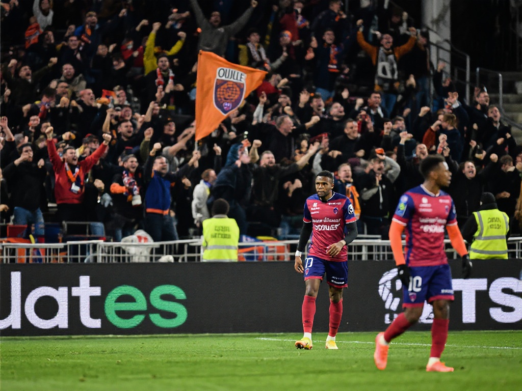 已有几位被 已有几位被